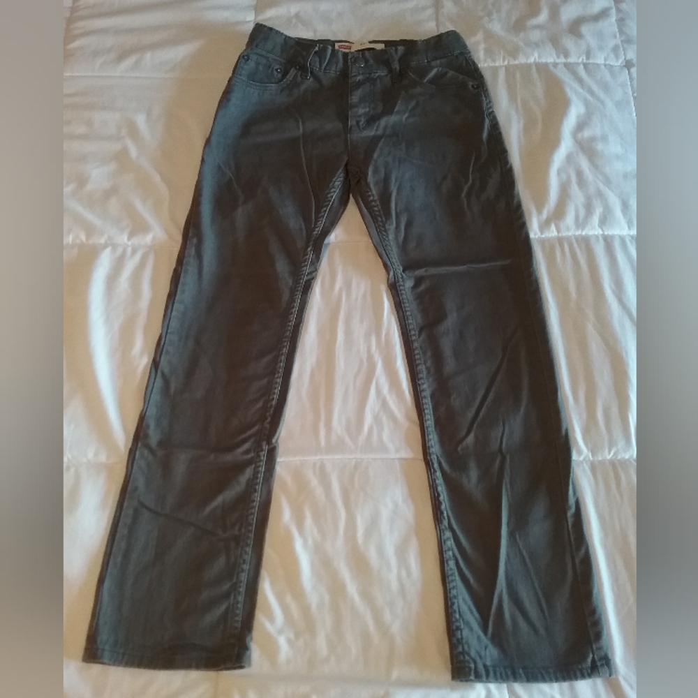 Levi's 511 Slim pants